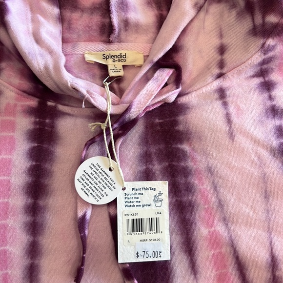 Splendid - Picture 4 of 5